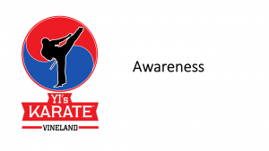 Yi's Karate of Vineland Teaches Awareness